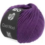 2109 Aubergine